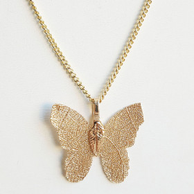 Butterfly Necklace with Chain in Gold