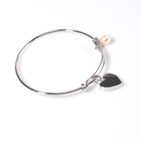 Wire Cable with Stainless Steel Bracelet