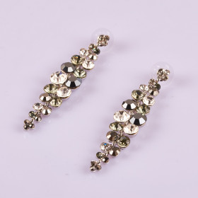 Gala Crystal Earring in Multi Combo