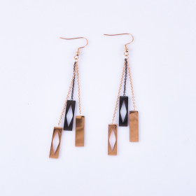 Fancy Two-tone Earring with Stainless Steel