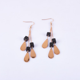 Fancy Two-tone Earring with Stainless Steel