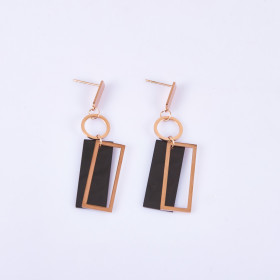 Fancy Two-tone Earring with Stainless Steel